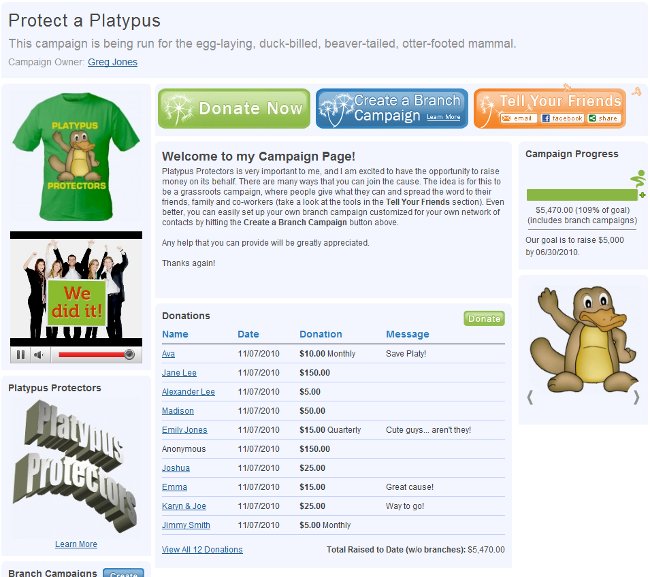 Sample Campaign Page